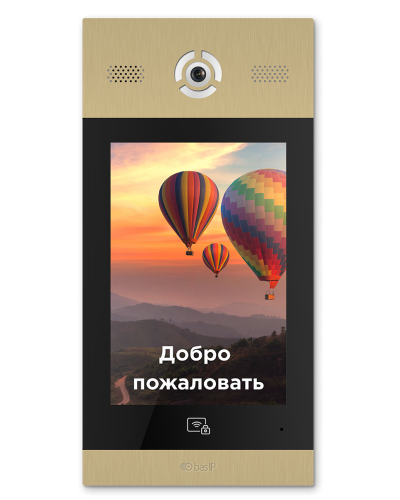 AA-14FB GOLD. Вызывная панель подъездного IP-домофона. BAS-IP в Ангарске