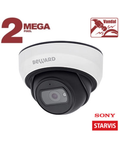 SV2005DB (3,6 мм). Видеокамера IP купольная. Beward в Ангарске