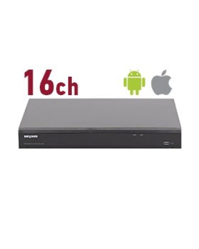 RK2216. Видеорегистратор IP 16-канальный. Beward в Ангарске