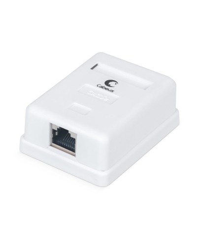 WS-8P8C-Cat.5e-SH-1 (7485c): Розетка RJ-45 в Ангарске