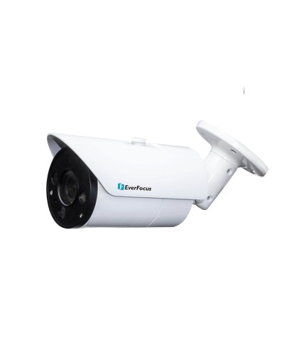 EZN-268V. Видеокамера IP купольная. EverFocus в Ангарске