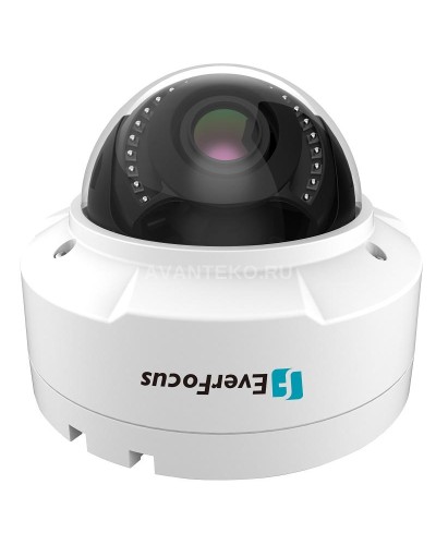 EHN-1250. Видеокамера IP купольная. EverFocus в Ангарске
