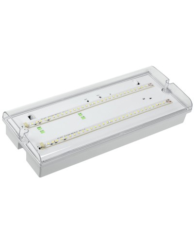 Светильник аварийный ДПА 5042-1 1ч IP65 LIGHTING (LDPA0-5042-1-65-K01). Светильник аварийный универсальный. IEK в Ангарске