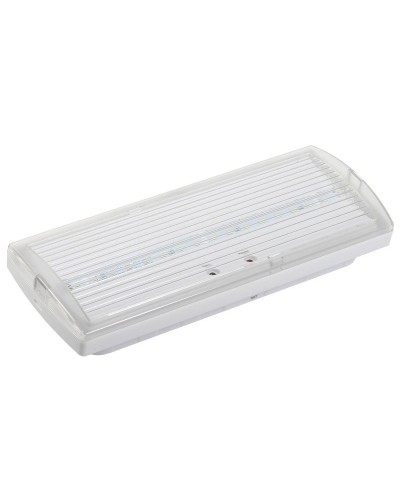 Светильник аварийный ДПА 5030-1 1ч IP20 LIGHTING (LDPA0-5030-1H-K01). Светильник аварийный постоянного действия. IEK в Ангарске