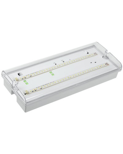 Светильник аварийный ДПА 5042-3 3ч IP65 LIGHTING (LDPA0-5042-3-65-K01). Светильник аварийный универсальный. IEK в Ангарске
