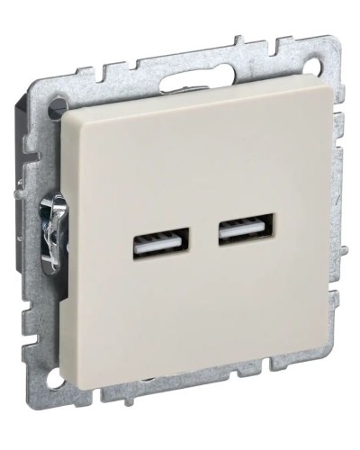 Розетка USB A+A 3,1А РЮ10-1-БрКр бежевый BRITE (BR-U21-D31-K10). Розетка USB. IEK в Ангарске