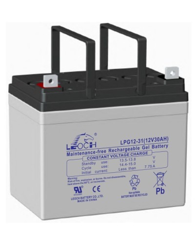 LEOCH LPG 12-31. Аккумулятор герметичный свинцово-кислотный. LEOCH в Ангарске