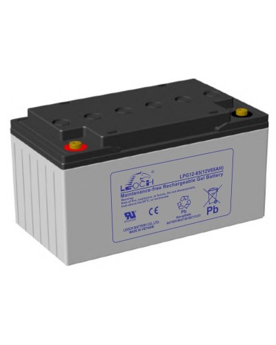 LEOCH LPG 12-65. Аккумулятор герметичный свинцово-кислотный. LEOCH в Ангарске