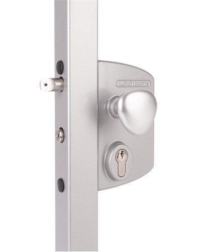LIKQ4040 U2L (цвет: RAL 9005, черный). Замок электромеханический для калиток. Locinox в Ангарске