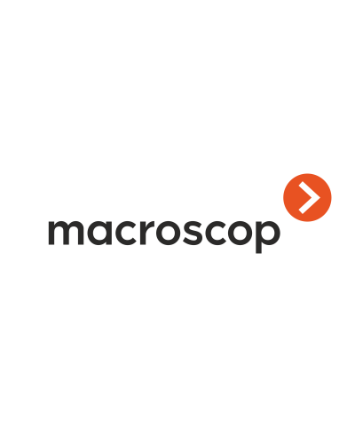 Расширение с LS до ST. Программное обеспечение (опция). MACROSCOP в Ангарске
