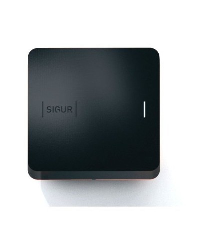 Sigur MR100 Multi. Считыватель. SIGUR в Ангарске
