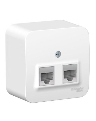 BLANCA розетка RJ11+RJ45, 2-местная, кат. 5Е, открытой установки, белый (BLNIA045111). Розетка компьютерная + телефонная с изолированной пластиной. Systeme Electric в Ангарске