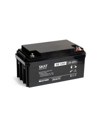 SKAT SB 1265 (2541). Аккумулятор герметичный свинцово-кислотный. Бастион в Ангарске