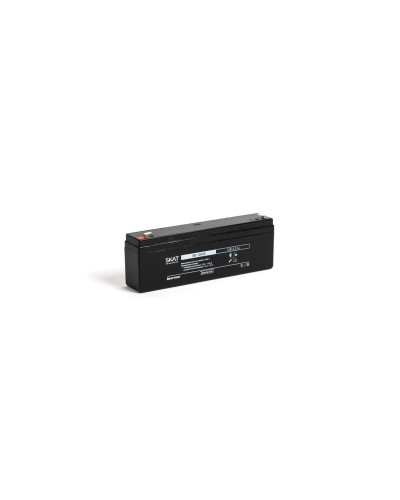SKAT SB 12022 (2539). Аккумулятор герметичный свинцово-кислотный. Бастион в Ангарске