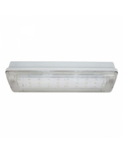 SL-213-30LED1.8 исп. 1 IP65. Светильник аварийного освещения. ИП Раченков А.В. в Ангарске