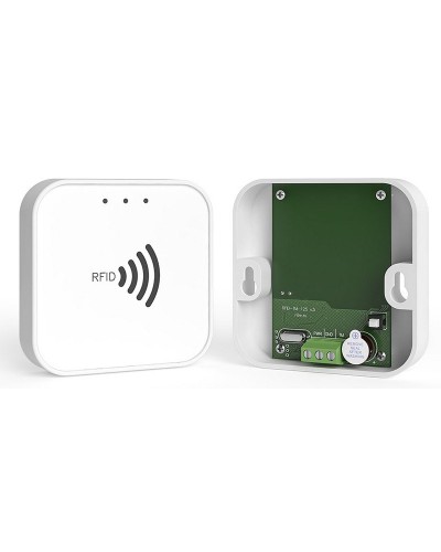 RFID-TM. Считыватель RFID. Ритм в Ангарске