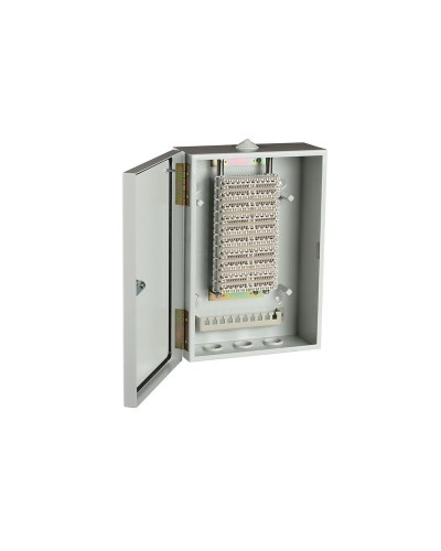 ШРН-В/100-Р (120908-00122). Шкаф ШРН-В/100-Р, плинт ПВТ-10Р-5е. ССД (Связьстройдеталь) в Ангарске