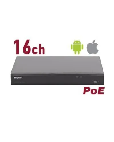 RK2216-P. Видеорегистратор IP 16-канальный. Beward в Ангарске