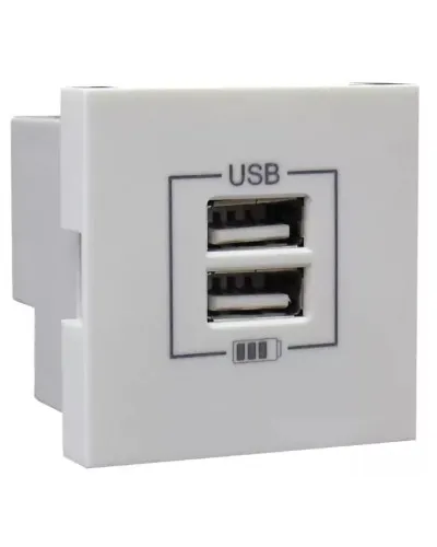 Розетка USB двойная, зарядная, белая (45439 SBR): Розетка USB двойная в Ангарске