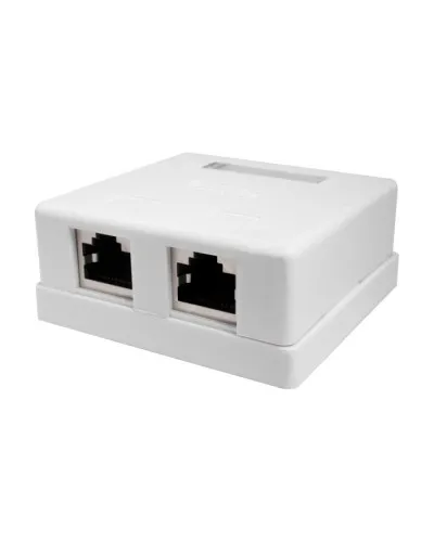 Розетка настенная RJ-45, 8P8C, Cat.5e, 2 порта, FTP (10-0308). Компьютерная розетка. SUPRLAN в Ангарске