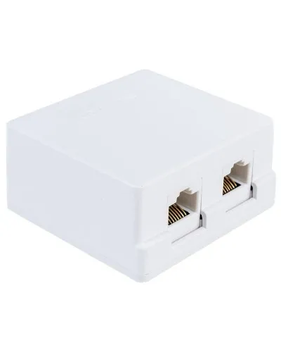 Компьютерная розетка 2xRJ-45 (SQ1809-0004): Компьютерная розетка в Ангарске