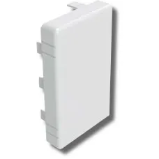 Заглушка 150х60 LAN (00879): Заглушка для короба