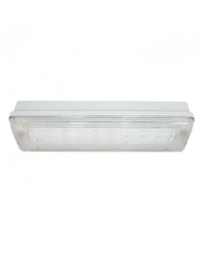 SL-223-30LED1.8 исп. 1, IP65. Светильник аварийного освещения. ИП Раченков А.В. в Ангарске