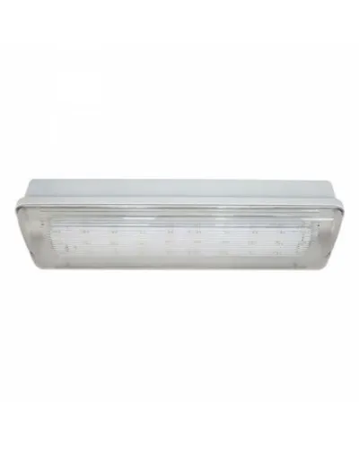 SL-213-30LED1.8 исп.1 IP54. Светильник аварийного освещения. ИП Раченков А.В. в Ангарске