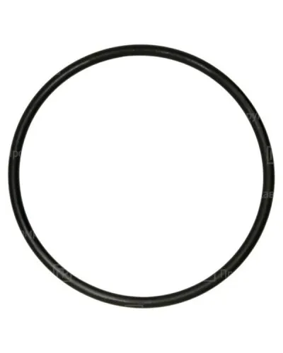Кольцо резиновое уплотнительное для двустенной трубы D110 (PR08.3159). Кольцо резиновое уплотнительное для двустенной трубы. Промрукав в Ангарске